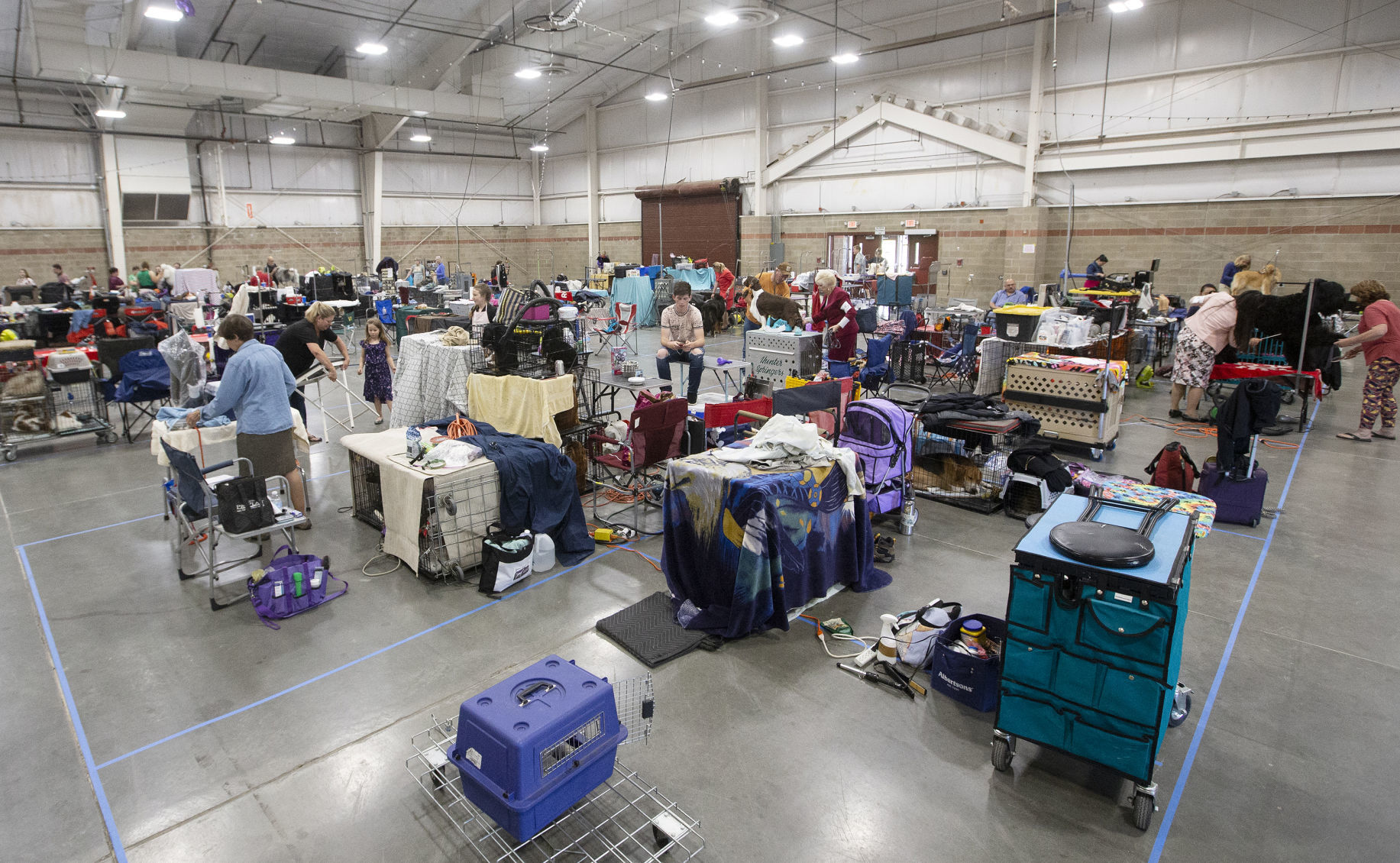 Yellowstone Valley Kennel Club All Breed Dog Show